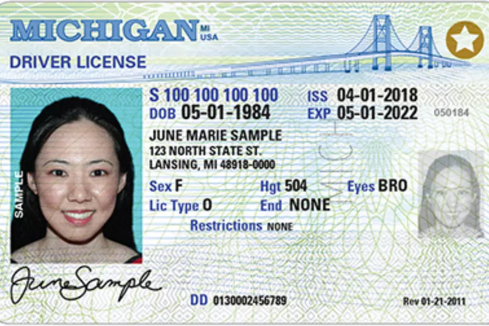 Federal Real ID Act Means You’ll Need A New Michigan ID By October 2020 [VIDEO]