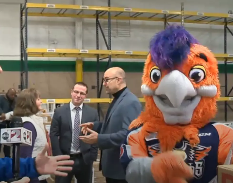 Feed Flint With the Firebirds!