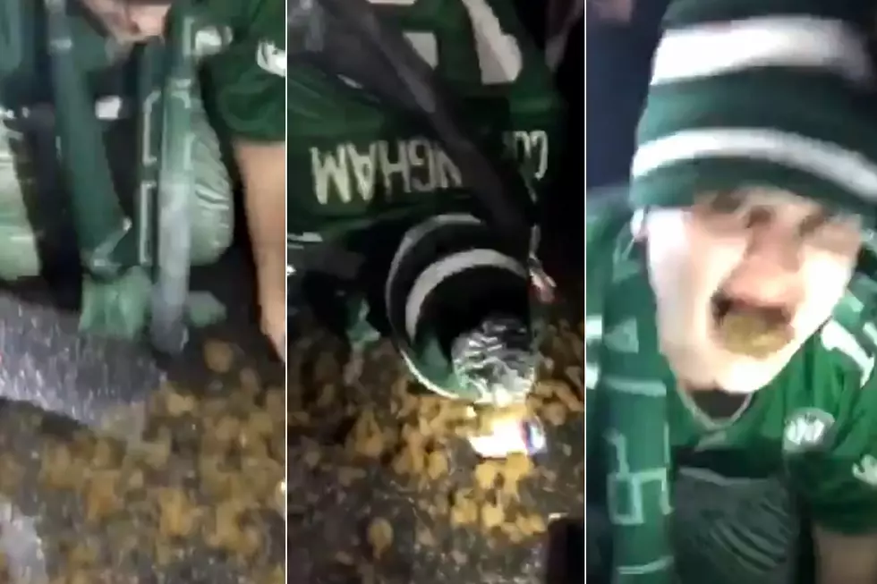 Philadelphia Eagles Fan Eats Horse Poop to Celebrate Super Bowl Win [VIDEO]