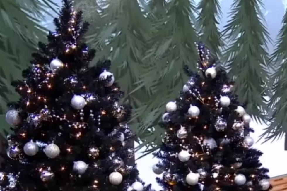 Black Christmas Trees – Ho Ho Yes or Ho Ho No? [VIDEO]