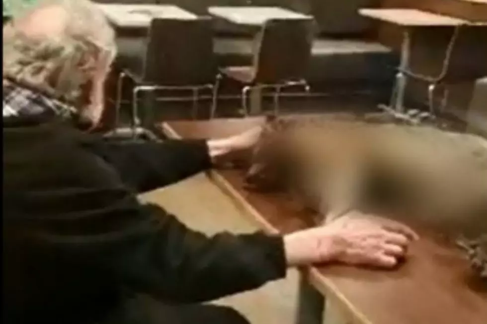 Man Brings Dead Raccoon Into McDonald’s [GRAPHIC VIDEO]