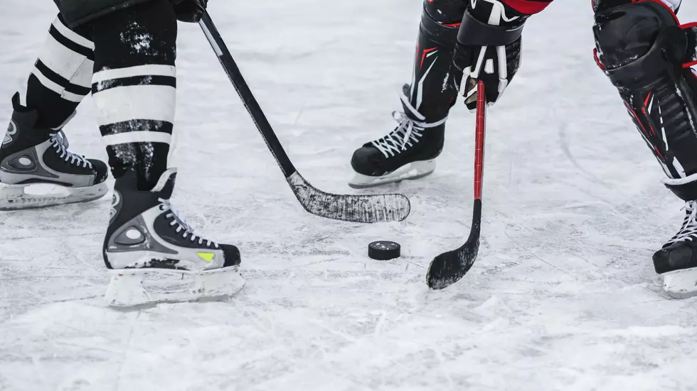 Flint Firebirds UAW/United Way Night Is Saturday