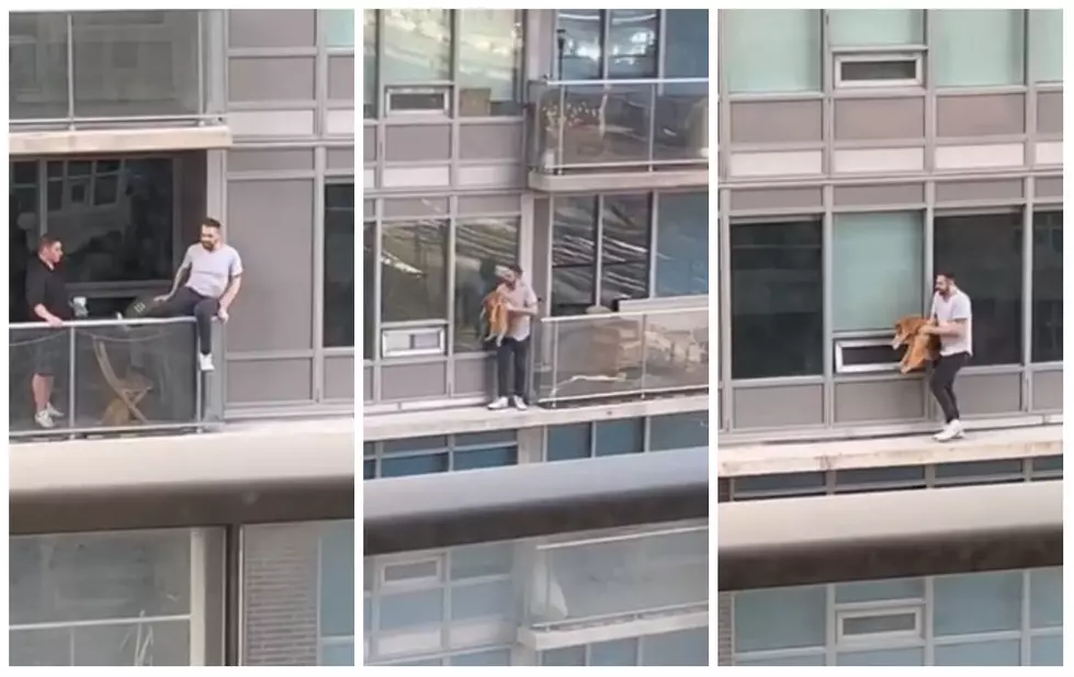 Man Walks Along Ledge Of A High Rise Building To Rescue His Cat [VIDEO]