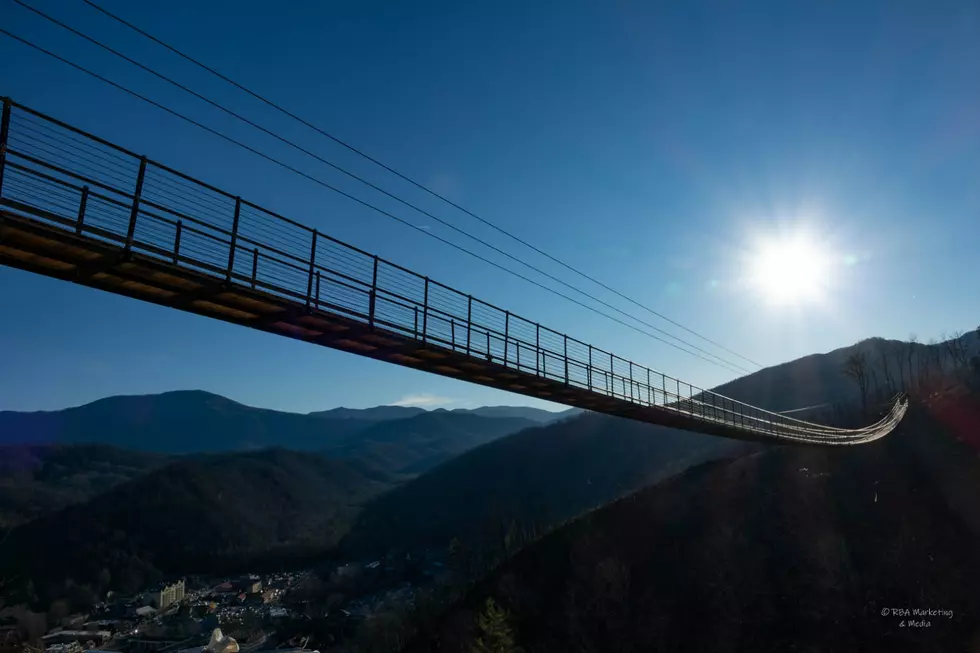 Longest Pedestrian Suspension Bridge in U.S. Opening This Month