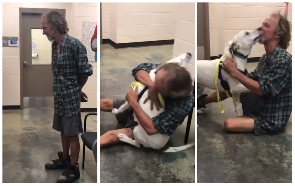 Homeless Man Reuniting With Lost Dog Is Everything [VIDEO]