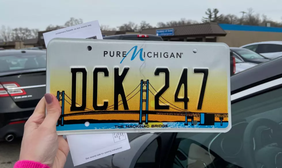 Michigan TV Reporter Gets Hilarious License Plate From SOS