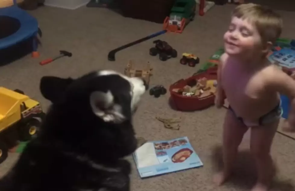 Michigan Toddler and Husky Howling Video Goes Viral
