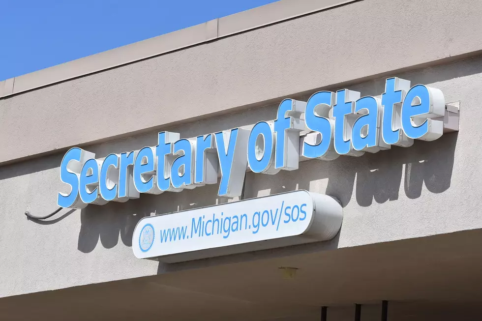 Michigan Secretary Of State Opening Next Week - Appointment Only