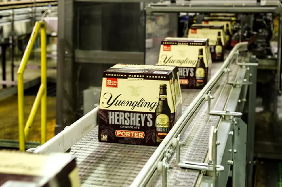 Hershey’s Chocolate Beer Not Available in Michigan, Maybe Next Year