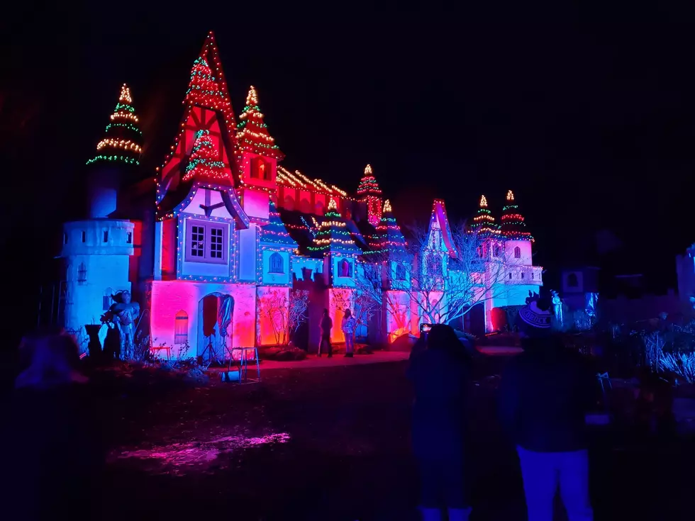 HollyDazzle at the Michigan Renaissance Festival [PHOTOS]