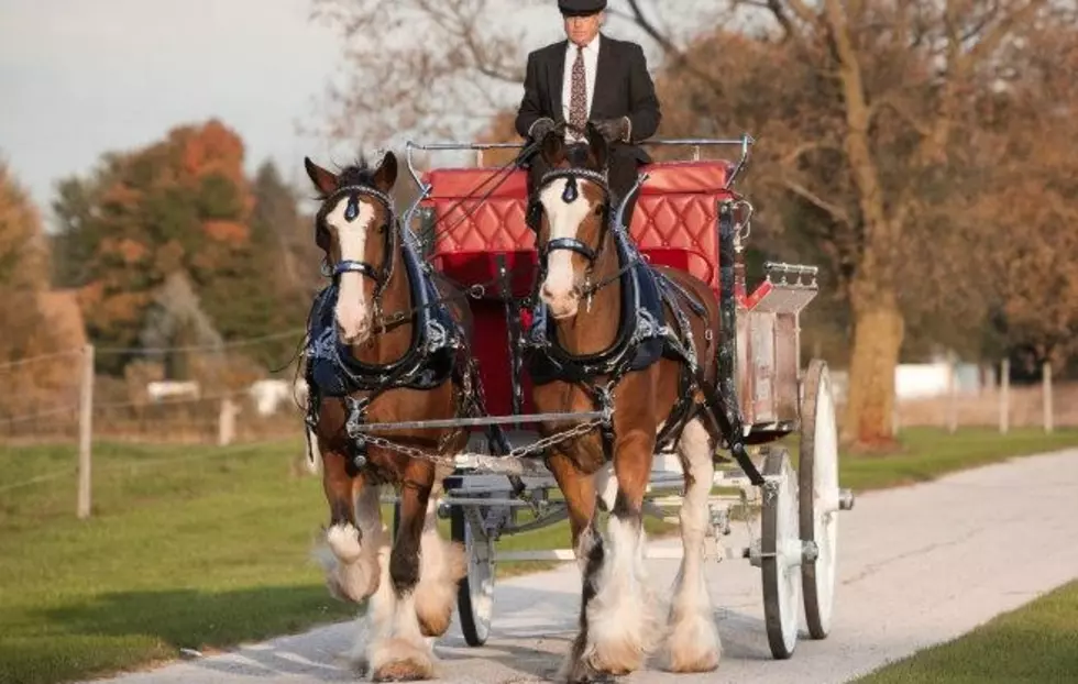 Santa Claus, Cyldesdale Horses, and More Saturday At Shea Automotive