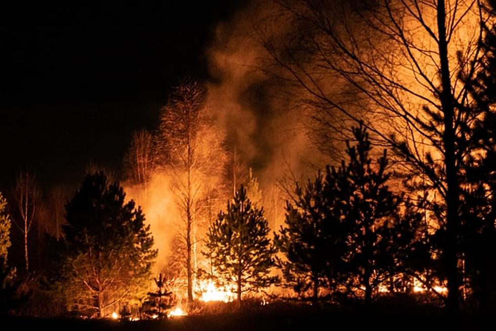Wildfire Rips Through Northern Michigan, Over 400 Acres Burned