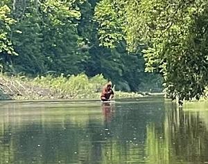 Michigan River Video Sparks Bigfoot Debate Among Residents And...
