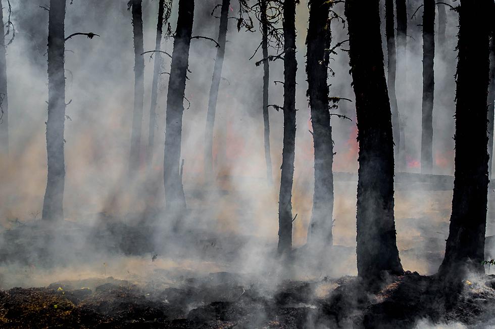 Wildfire Sadly Burns 200 Acres on Michigan’s Remote Isle Royale
