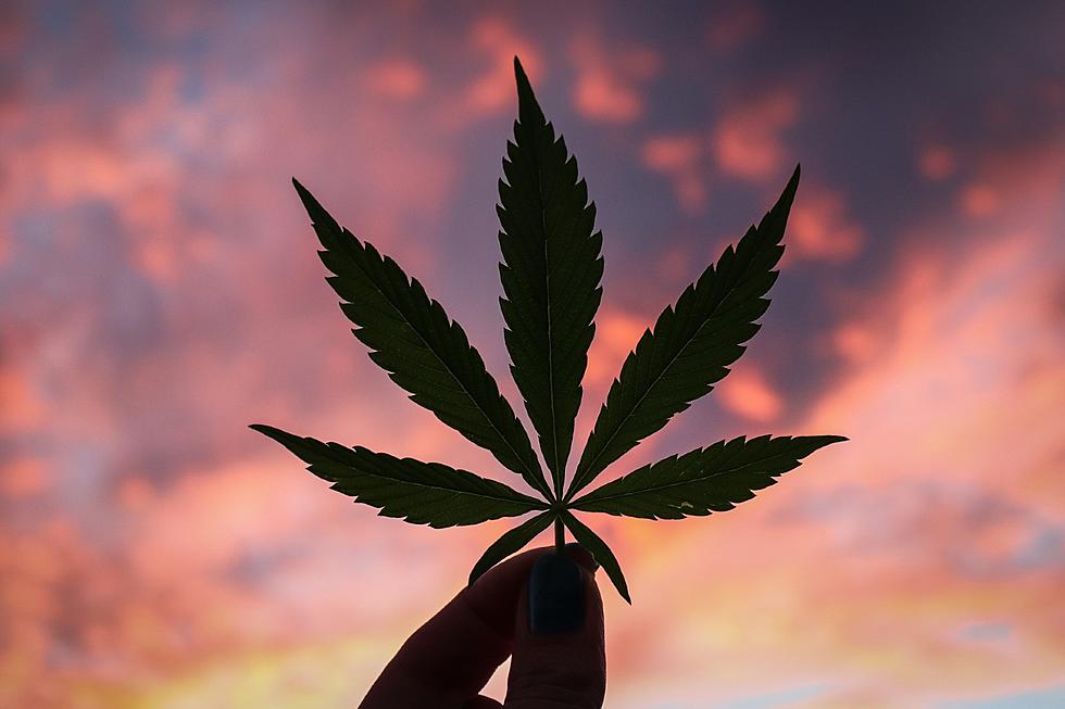 Some MI Companies Are Looking to Stop Marijuana Drug Testing