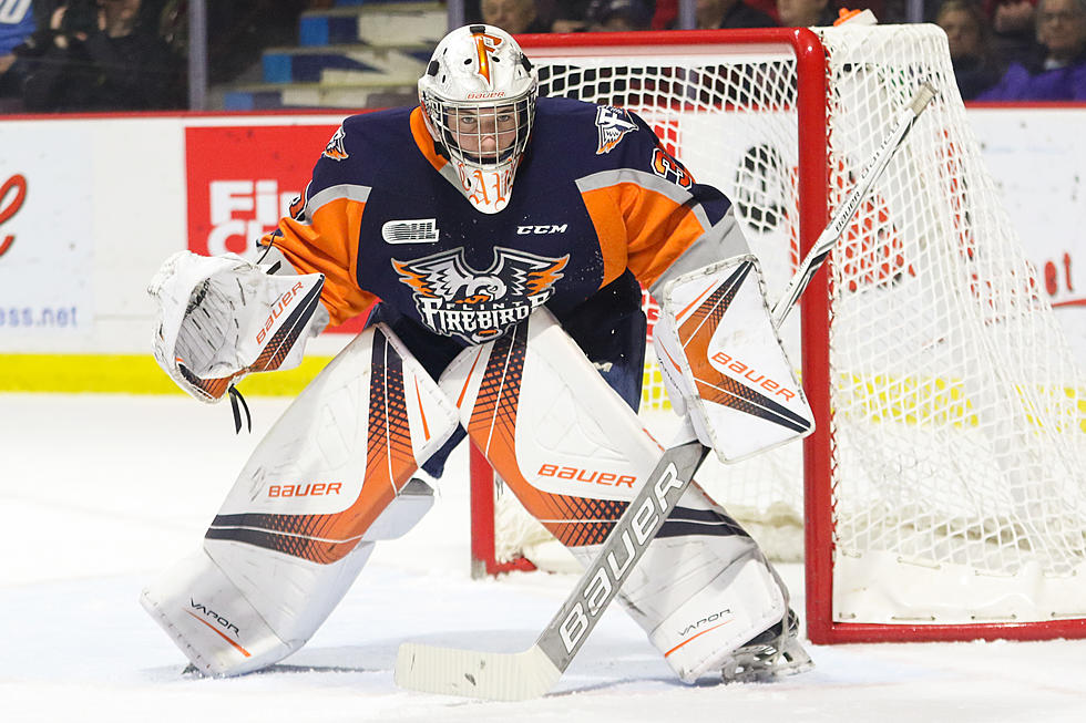 Flint Firebirds on Home Ice This Friday and Saturday