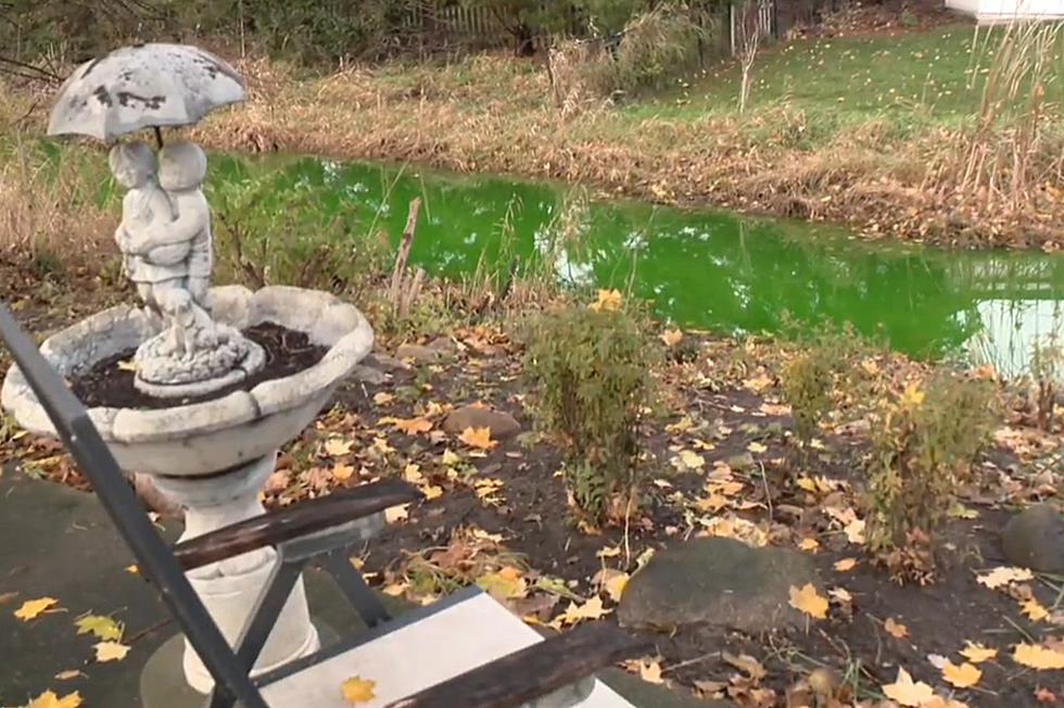 Clinton Twp Creek Mysteriously Turned Bright Green and No One Knows Why
