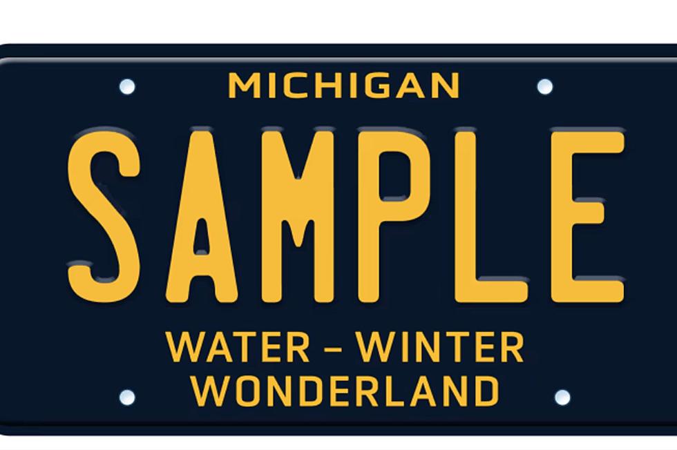 Michigan’s Favorite License Plate From 1965 Is Making A Comeback