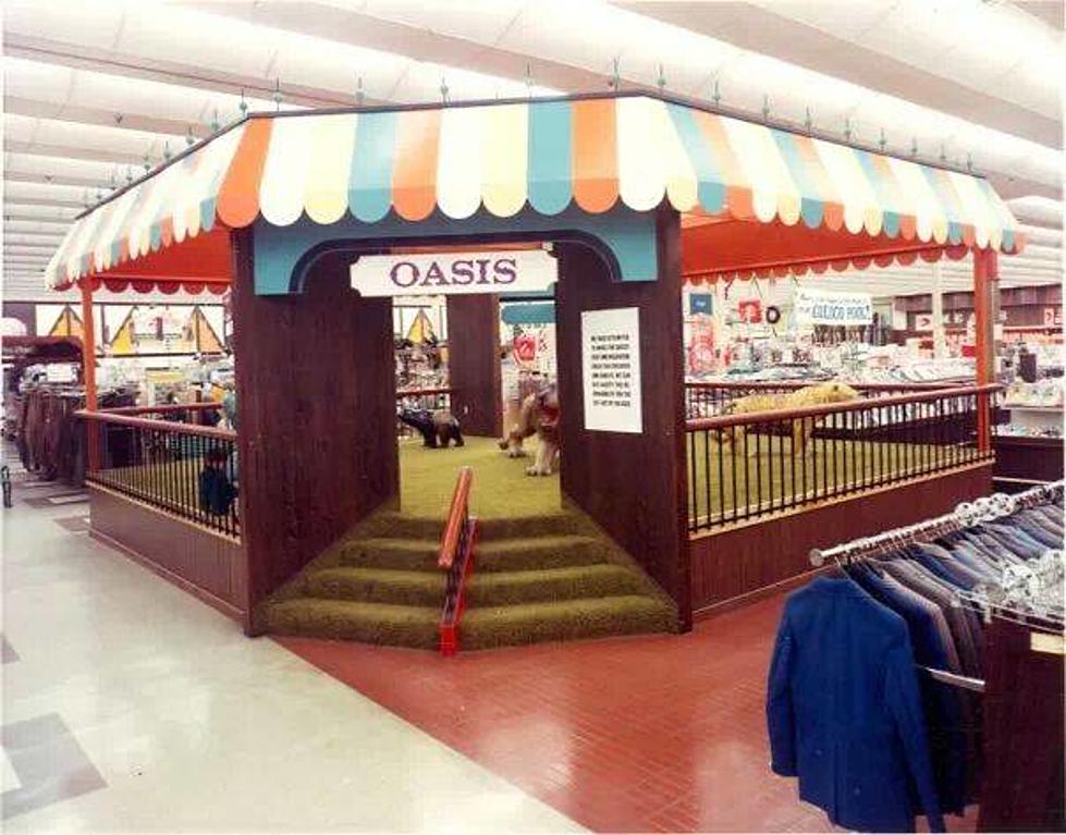 Michigan &#8211; Anyone Else Play At Meijer Oasis As A Kid?