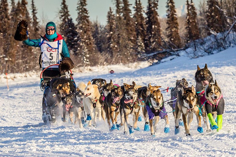 Michigan Native Completes 300 Mile Sled Dog Race in 55-Below Temps