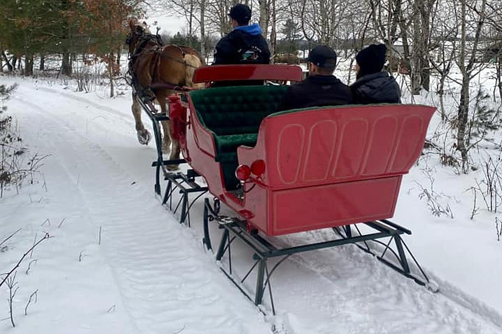 Take an Old Fashioned Sleigh Ride on 70 acres of Trails in Gaylord, Michigan