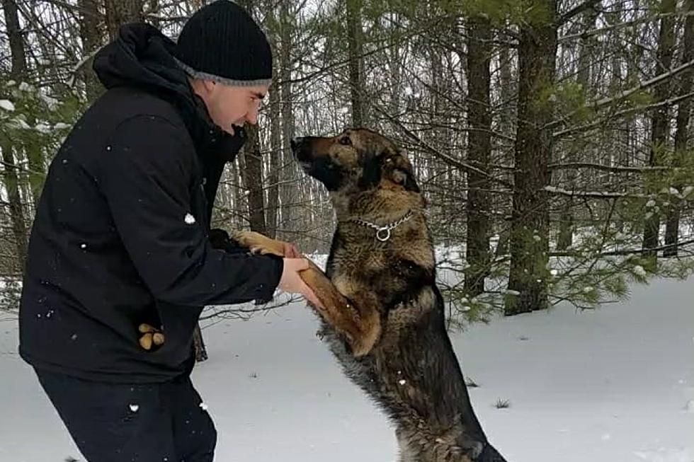 Police K9 Saves Man That Got Lost in Northern Michigan Woods