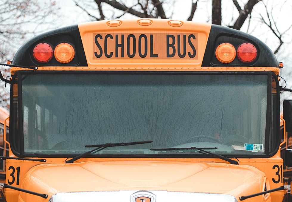 Man Steals School Bus Near Ann Arbor, Goes On Joyride and Crashes