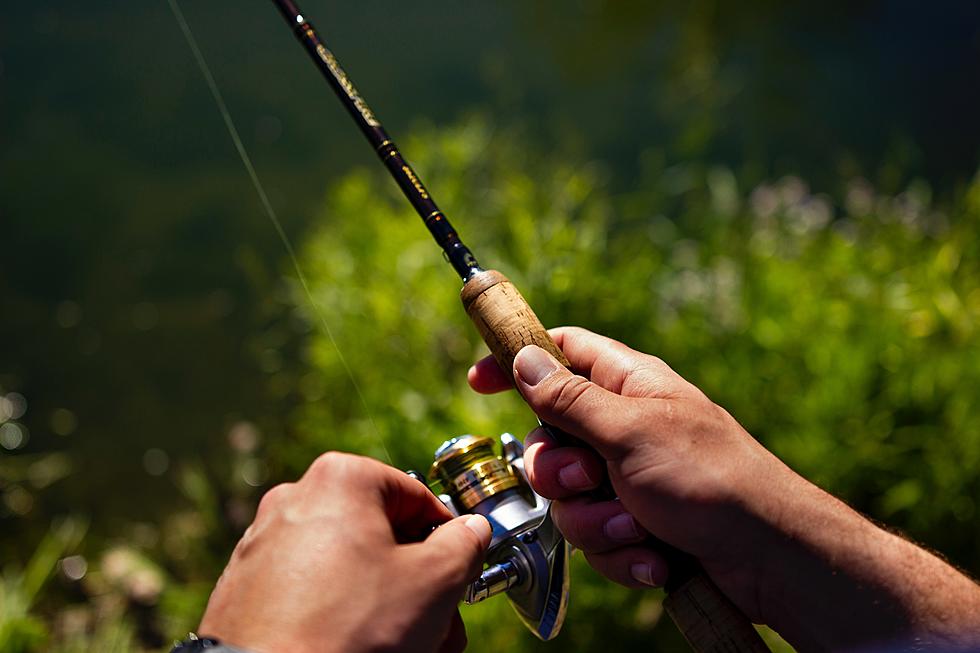 Michigan DNR Asks Fishermen to Report Tagged Walleye