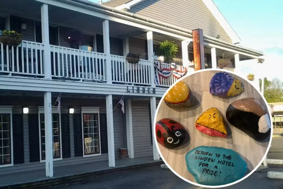 Linden Hotel Hides Rocks In Linden And Fenton – Did You Find One?