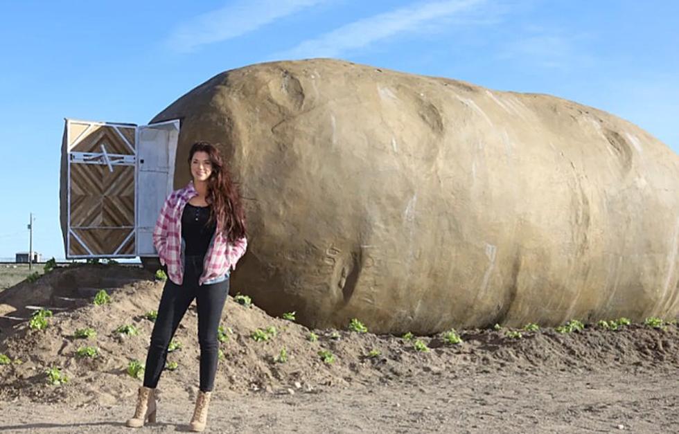 You Say Giant Potato, I Say Giant Potato Airbnb