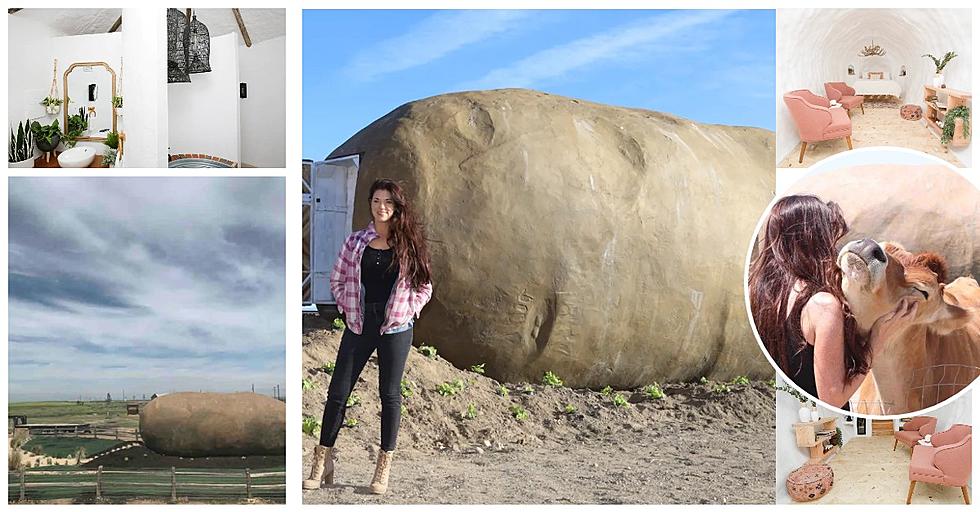 You Say Giant Potato, I Say Giant Potato Airbnb