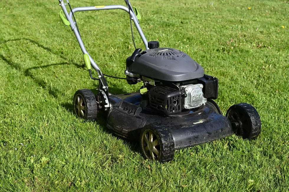 Some Michigan Residents Encouraged to NOT Mow Their Lawns This Month