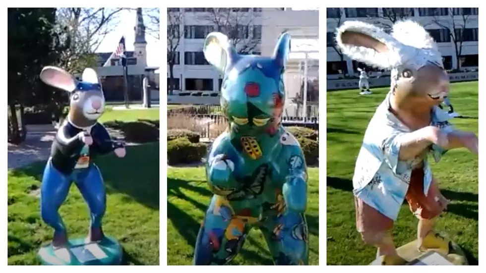 How Am I Just Finding Out About These Giant Bunnies In Saginaw?