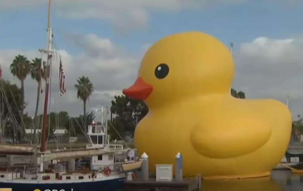 World’s Largest Rubber Duck Making Two Stops In Michigan This Summer