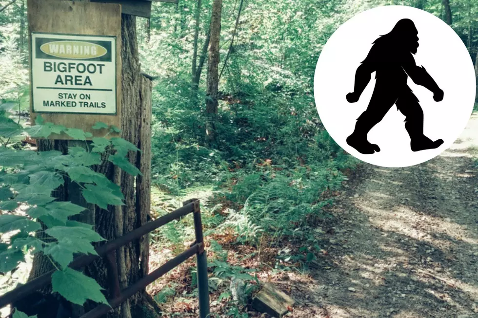 Bigfoot Image Caught on Macomb County Woman&#8217;s Surveillance Camera?