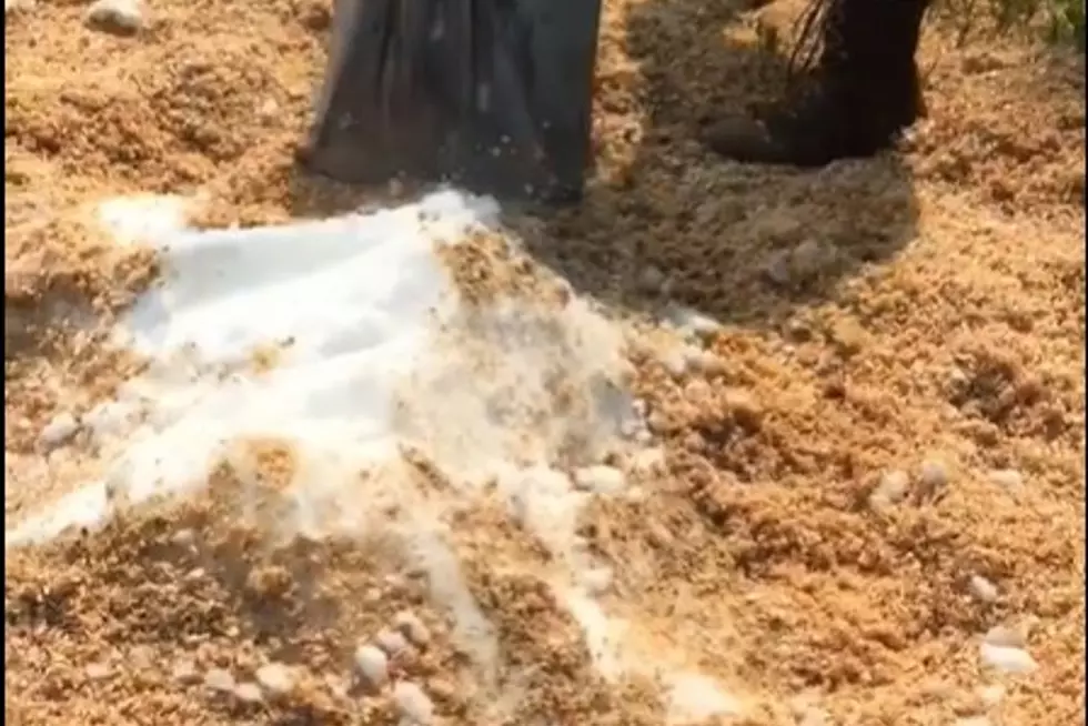 Remember When a MI Man Found Snow in the Upper Peninsula in July?