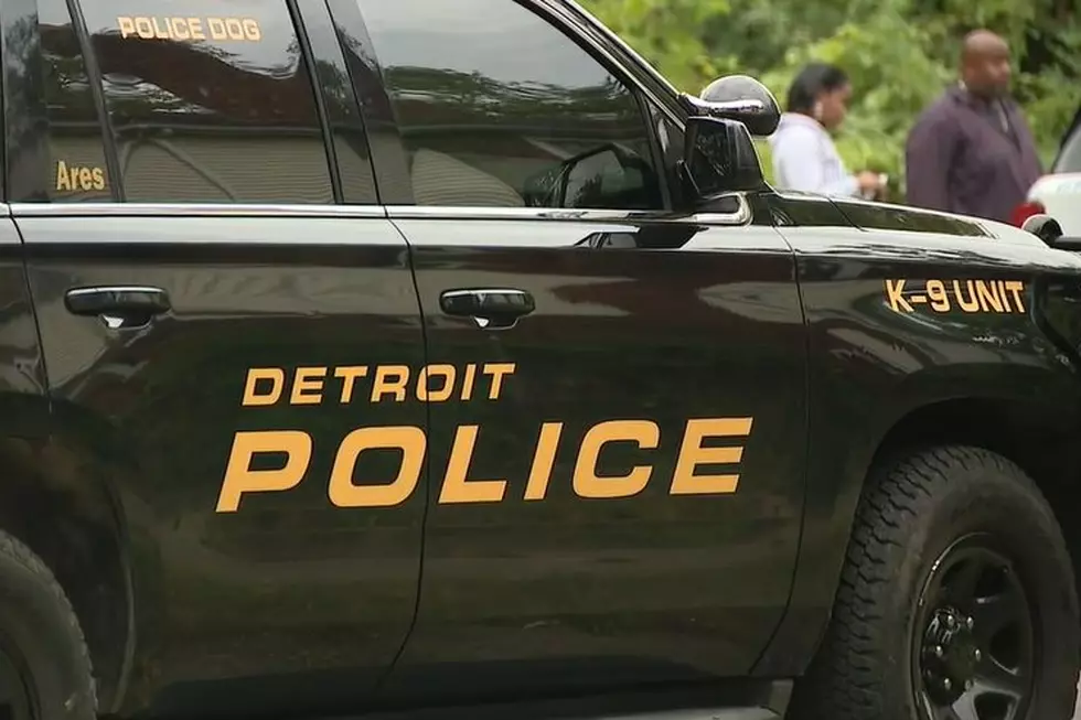 Detroit Police Officer Accidentally Shoots Partner While on Duty