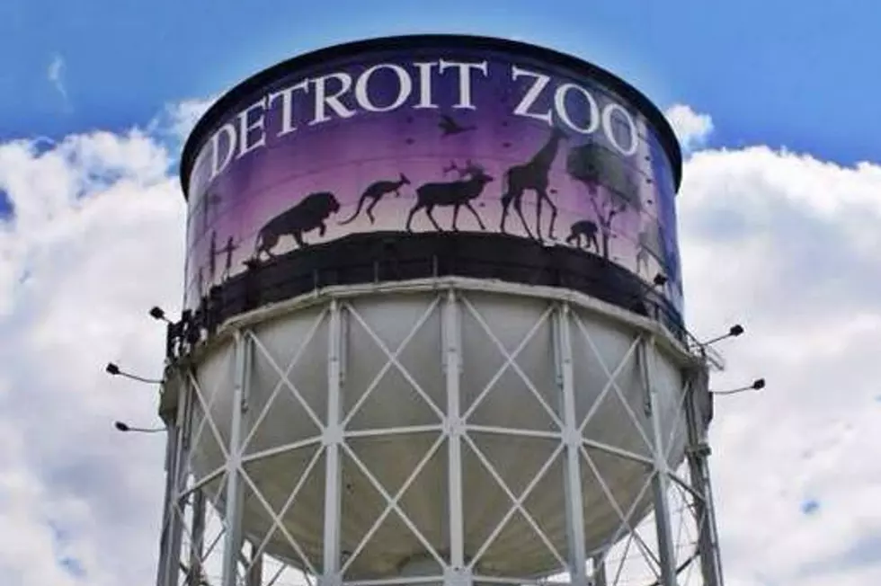 Adults Only – Enjoy Drinks and Entertainment at Detroit Zoo Event