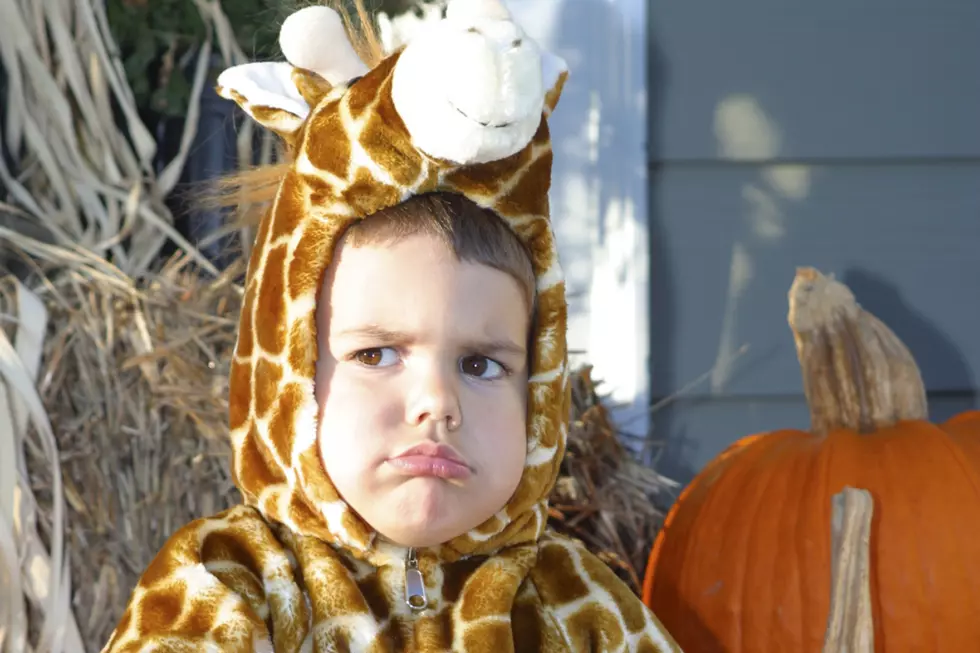 Are Michigan Schools Canceling Halloween Festivities This Year?