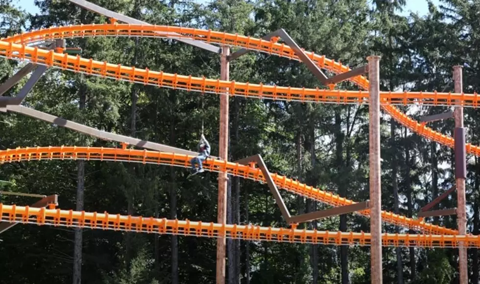 Battle Creek Zoo Opens Brand New Zipline and Ropes Course