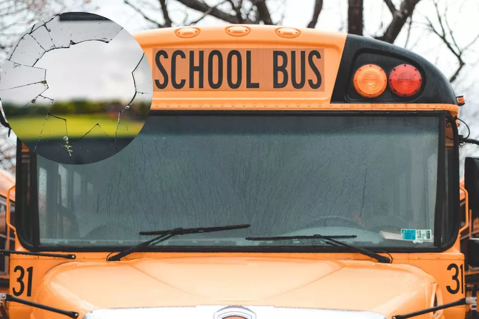 Davison Girl Kicks Student’s Head Through School Bus Window