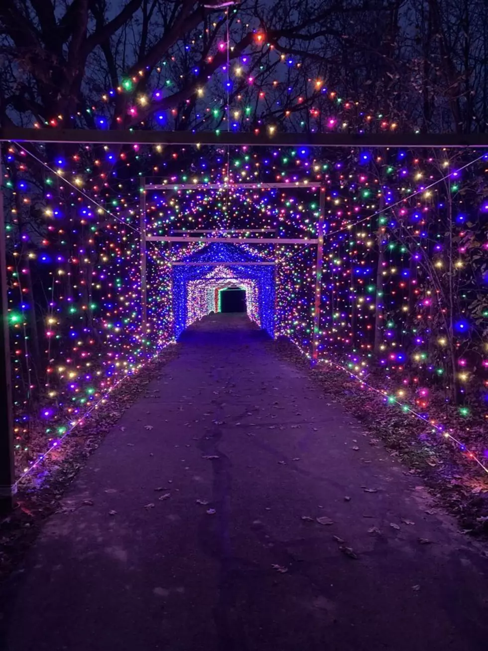 Free Holiday Walk At Bicentennial Park In Grand Blanc