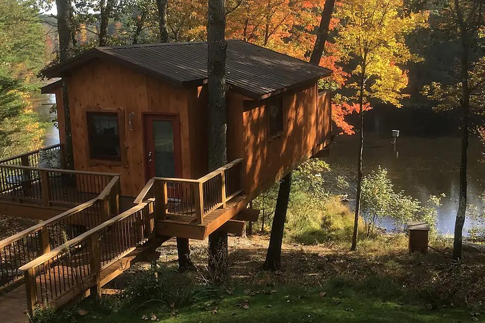 Escape to an Enchanting Treehouse Retreat in Muskegon County