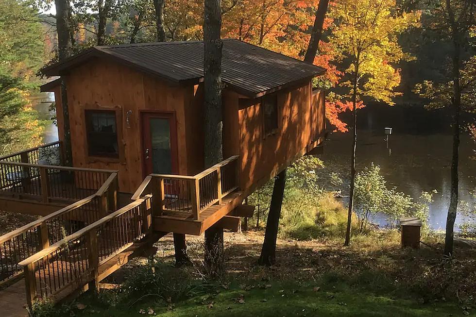 Escape to an Enchanting Treehouse Retreat Near Muskegon County