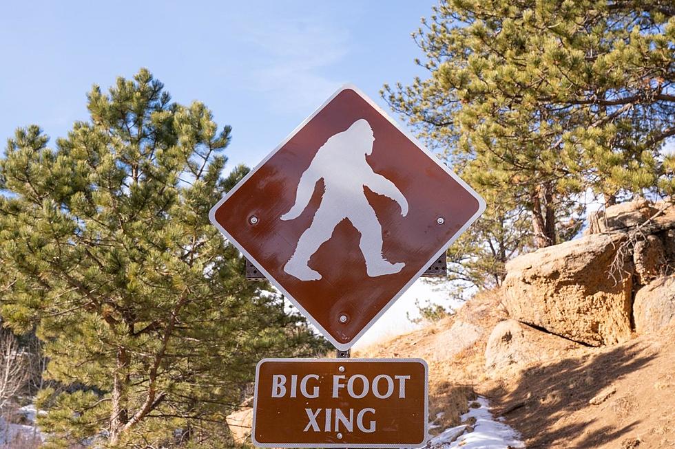 Michigan Makes the Top 10 List of Most Bigfoot Sightings in the U.S.