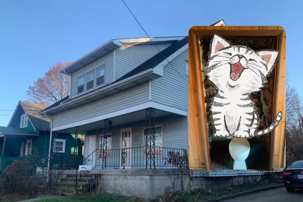 $55K Lansing Home Has Emergency Toilet and Cat Pics in a Closet