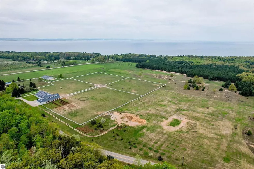 $6M Michigan Farm Comes with 8 Guard Dogs, Horses, and 80 Acres