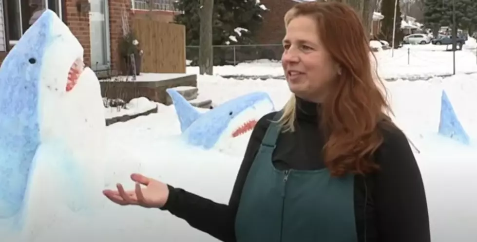 Michigan Teacher Creates Sharks Out Of Snow, Goes Viral