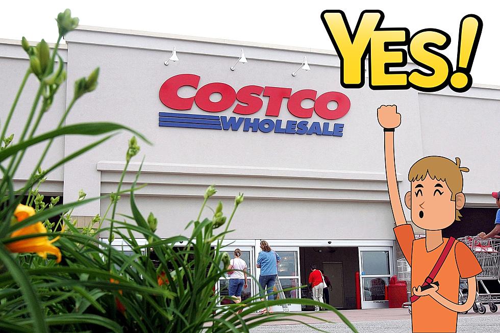 The Rumors Were True &#8211; Costco is Coming to Genesee County (Maybe)