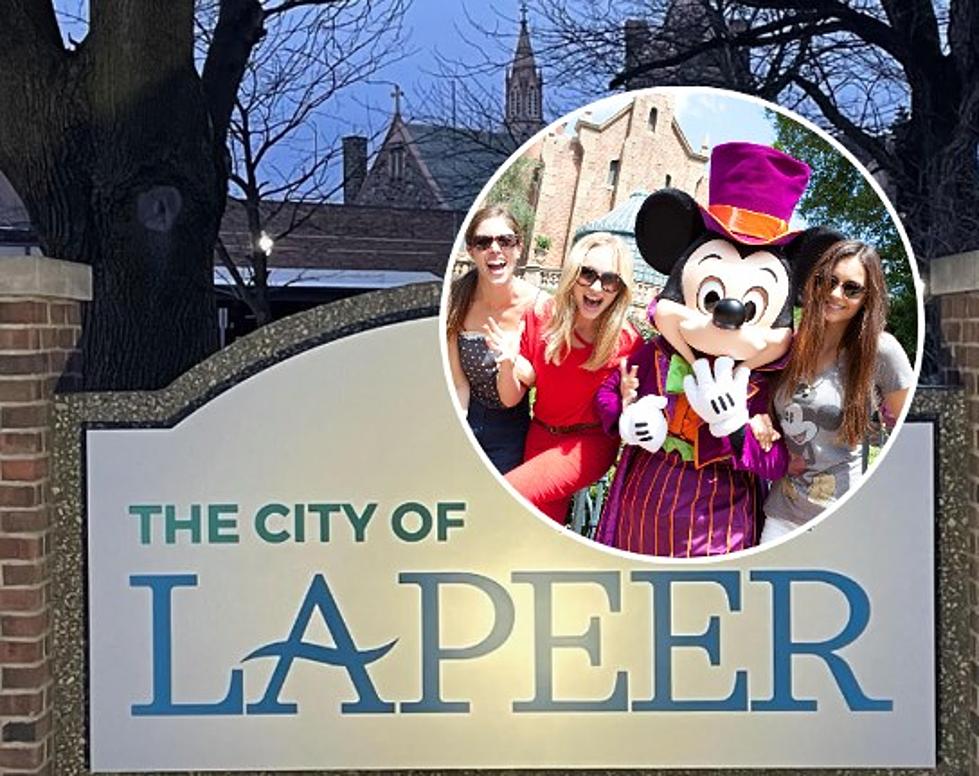 Disney Did Not Buy Land In Lapeer &#8211; What You Need To Know